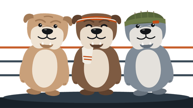 A crew of three bulldogs